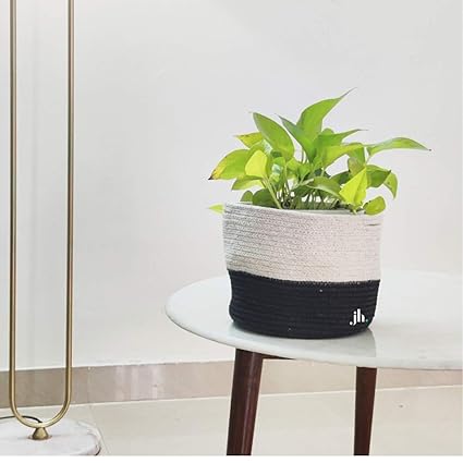 JASMEY Homes | Vibrant Peach Planter or Storage Basket, Easy to wash - Pack of 1 | Size: 20cmX20cm, Material: Cotton Wardrobe Organizer (Black, Bottom Colored)