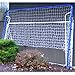 EZGoal 6-in-1 Multi-Sport Folding Tilting Backstop/Goal, Blue