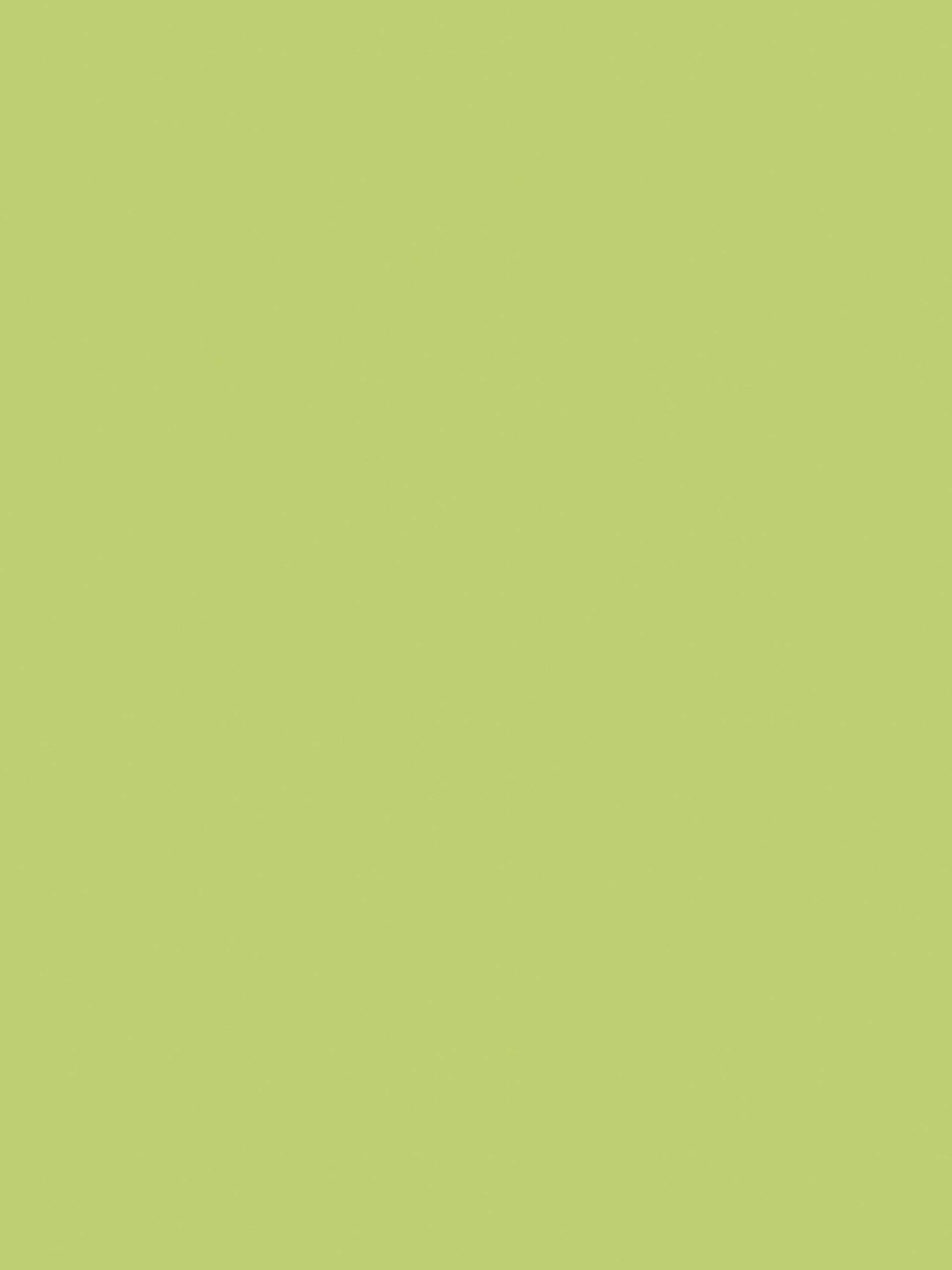Clairefontaine 384519C Pack of 25 Sheets Coloured Poster Paper 90g/m² Format 60x80cm Cutting Writing Collage Creative Activities Adults Children Apple Green — image 1