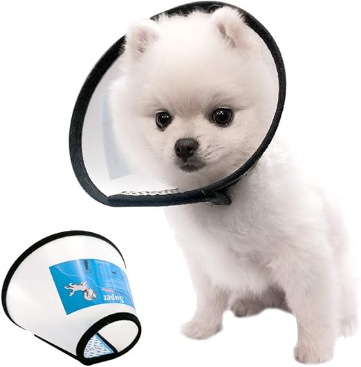 e cone for dogs