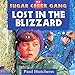 Lost in the Blizzard: Sugar Creek Gang Series, Book 17 by
