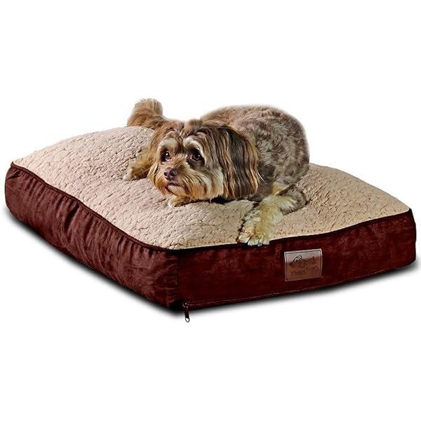 AsukasRoom特別価格Navy Trellis Large 141[並行輸入]並行輸入 Outdoor With Pet Pet