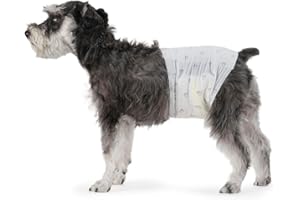 鶹 Basics Male Dog Diapers, 50 Count, Medium, Ultra Absorbent Disposable Wrap with Secure Fit, Leakproof and Comfortable