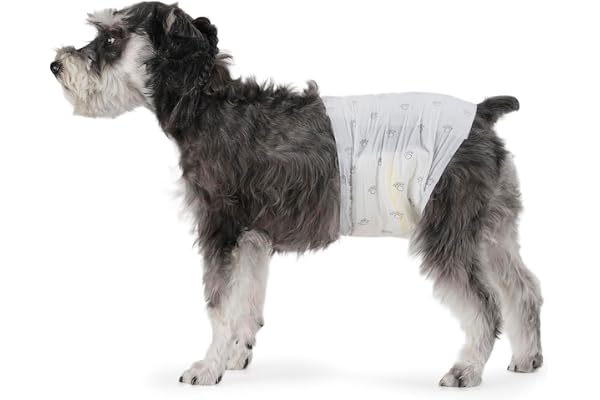 Amazon Basics Male Dog Diapers, 50 Count, Medium, Ultra Absorbent Disposable Wrap with Secure Fit, Leakproof and Comfortable