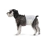 Amazon Basics Male Dog Diapers, 30