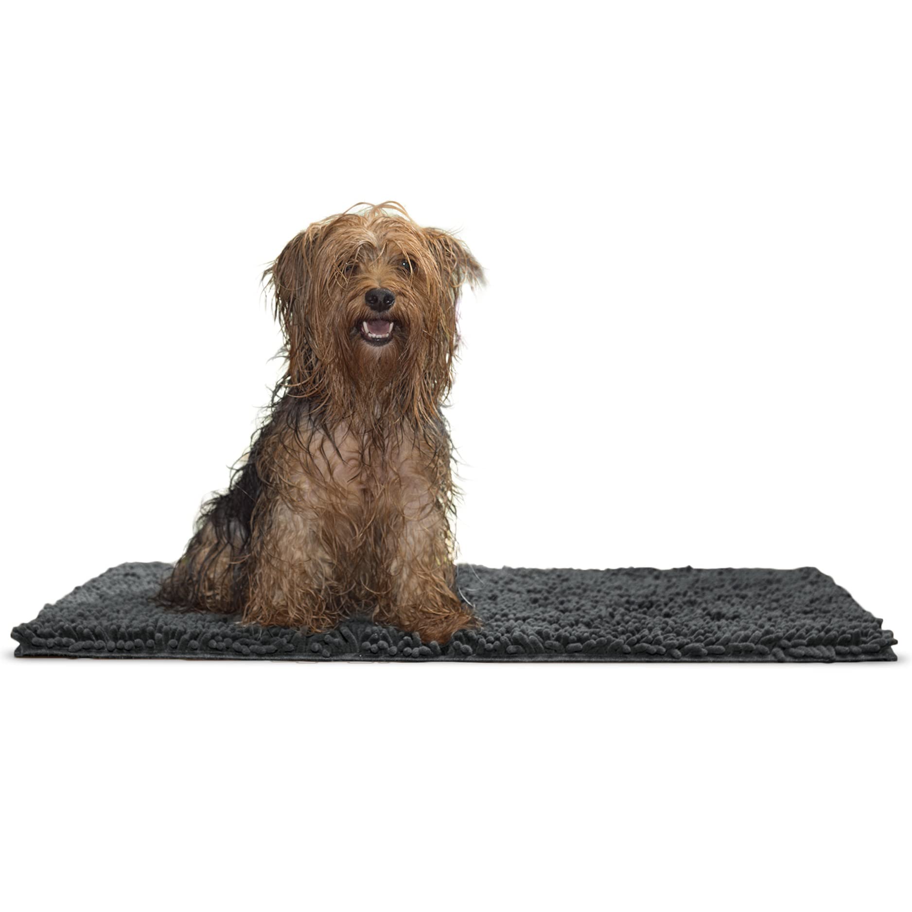 Furhaven Medium Pet Door Mat Muddy Paws Absorbent Chenille Shammy Rug, Washable - Charcoal (Gray), Medium