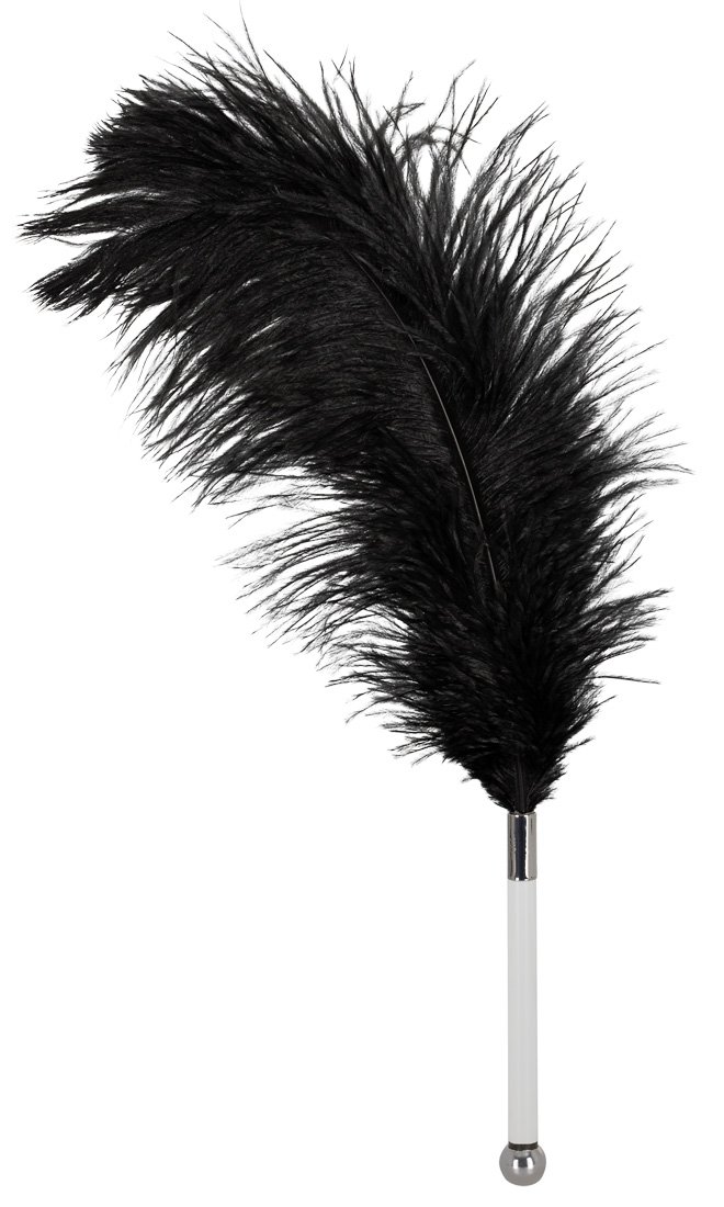 Bad Kitty Black Acrylic Feather