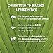 RUNA Amazonian Awakening the Dreamer Guayusa Tea Tin, Sage and Lavendar, 16-Count Biodegradable Pyramid Infusers
