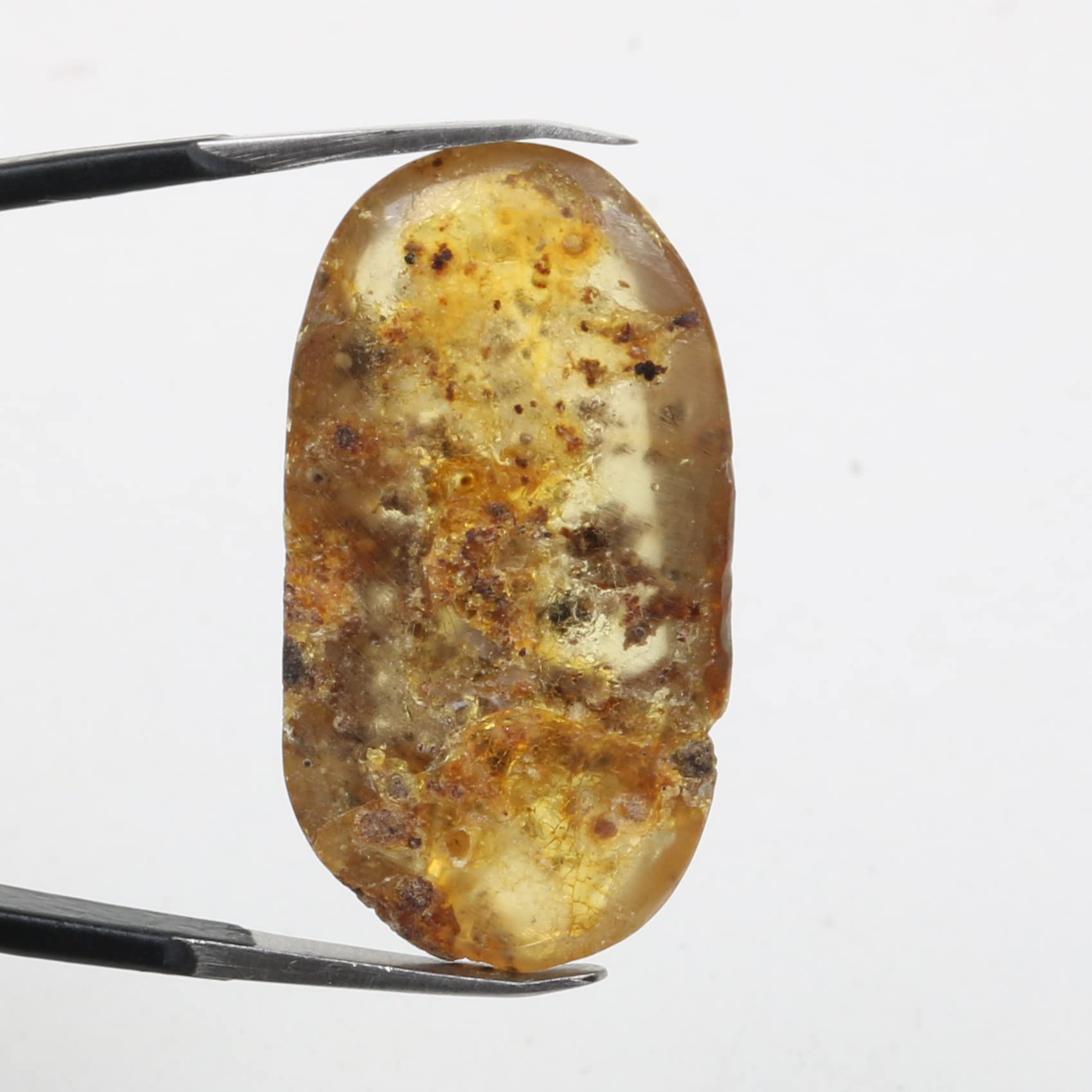 REAL-GEMS Genuine Myanmar Amber Stone Oval Shape with Fossils Insects Inclusions
