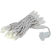 Novelty Lights 7 Feet 20 LED String Light, Warm White on White Wire, 4" Spacing Short Fairy Lights, Connectable End-to-End, UL Listed for Indoor/Outdoor