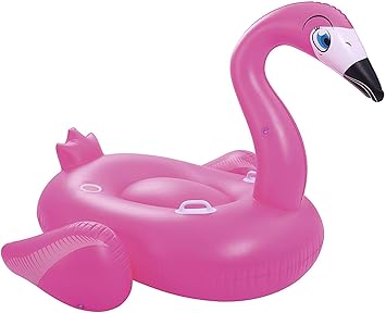 bestway flamingo float