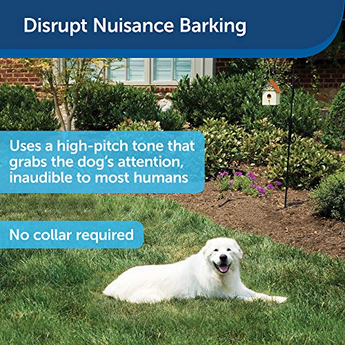 PetSafe Outdoor Ultrasonic Bark Control - No Barking Deterrent for All Dog Sizes - Up to 1/4 Acre (50 ft) Coverage… - Image 3