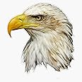 BZ Trading Bald Eagle Head Vinyl Decal Wall Laptop Bumper Sticker 5in(RDB-USA-STICKERS-0560)