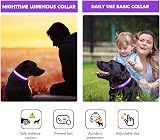 MASBRILL Light Up Dog Collar Purple S USB Rechargeable Waterproof 3 Modes view 6