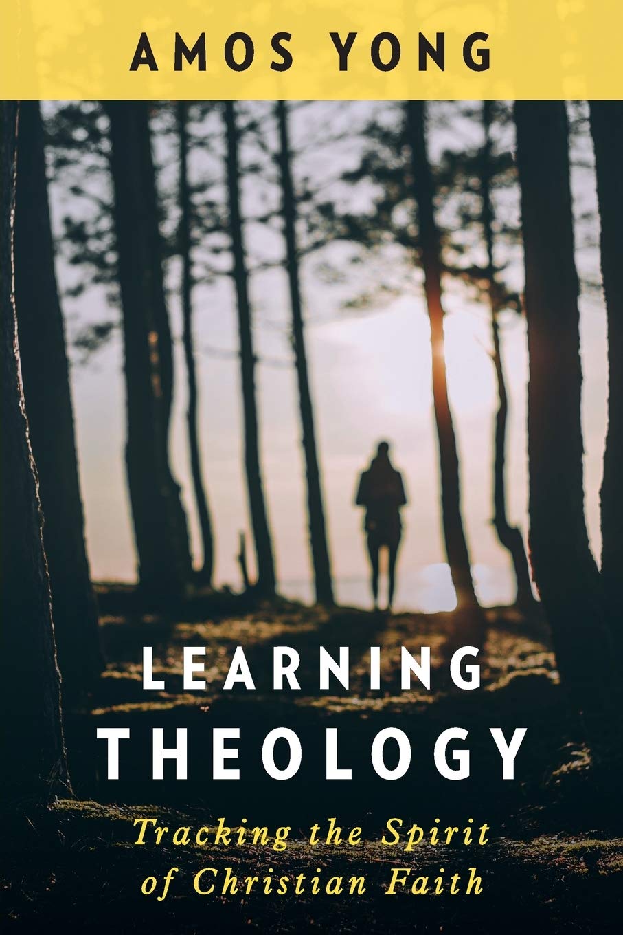 Learning Theology Tracking The Spirit Of Christian Faith Yong 9780664263966 Amazon Com Books