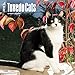Tuxedo Cats 2018 12 x 12 Inch Monthly Square Wall Calendar, Animals Cats Feline