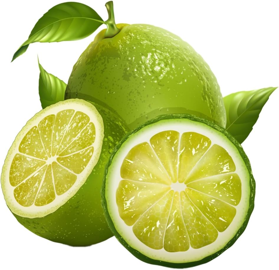 Bornbayb Dwarf Lemon Tree Seeds Green Lime Seeds Lime Seeds Organic Fruit Seeds for Indoor Outdoor Garden