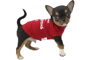 LOPHIPETS Dog I'm Cute But Dangerous Letter Print Shirts for Small Teacup Dog Chihuahua Yorkie Puppy Cat Clothes Tee-Red/XS