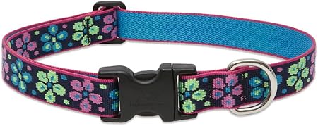 lupine dog collars amazon
