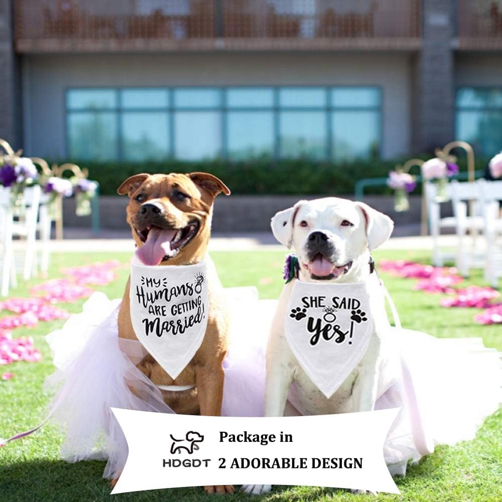 My Humans are Getting Married Dog Bandana, Wedding Dog Bandana, Dog Engagement Announcement, Wedding Photo Prop, Pet Scarf, Pet Accessories (2 Pack) : Pet Supplies