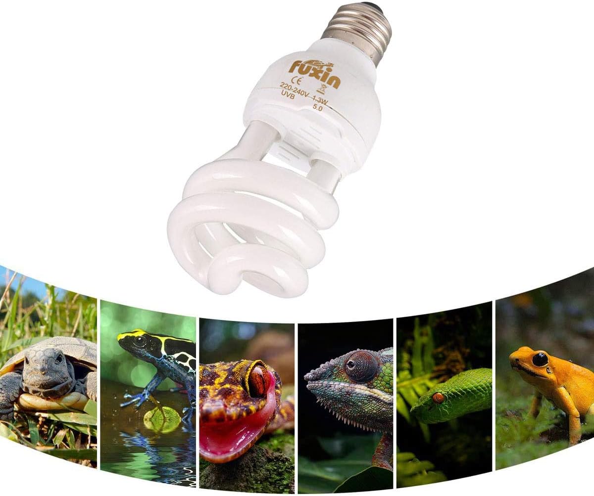 POFET Energy Saving Lamps UVB Bulb,Spiral Compact 13Watts UVB 5.0 Reptile Light Bulb Fit for Rainforest Type Reptile/Snake/Lizard/Insect/Turtle/Tortoise - Image 4
