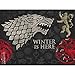 Tervis HBO Game of Thrones - House Stark Insulated Travel Tumbler with Wrap & Lid, 24 oz - Tritan, Clear