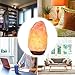 Sunnest Natural Himalayan Salt Lamp, 9 inch Hand Carved Crystal Salt Rock Lamps, Pink Hymalain Salt Lamps, Wood Base with Dimmer Control, Air Purifying