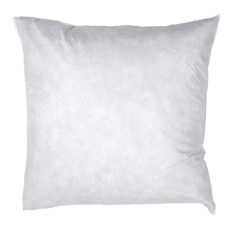 Buy 24 X 24 Feather Down Pillow Form White By Pacific Coast
