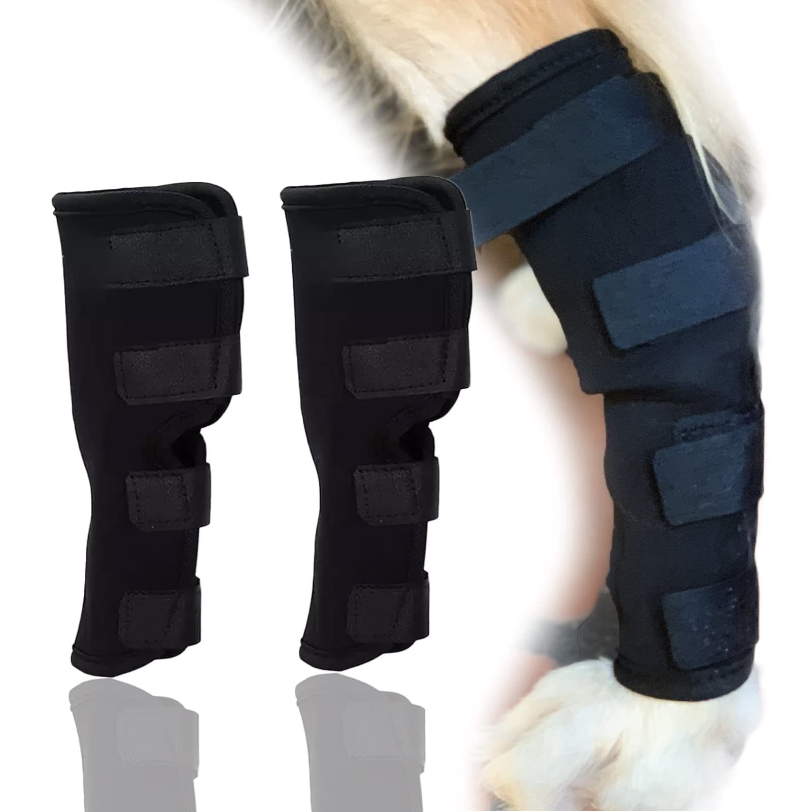 9-Jet Ecommence Dog Rear Leg Hock Brace - Canine Wrap Protects Wounds Heal and Sprains Support Due to Arthritis to Prevents Injuries and Sprains or Walking, 2PCS (Large)