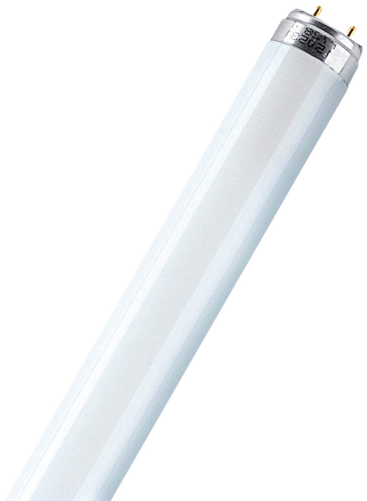 Osram 36 Watt Lumilux T8 Fluorescent Lamp Sockets