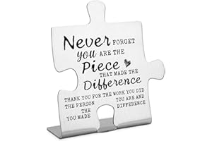 Thank You Gifts, Employee Appreciation Gift for Mentor Teacher Nurse, Stainless Steel Puzzle Fun Office Desk Decor, Never For