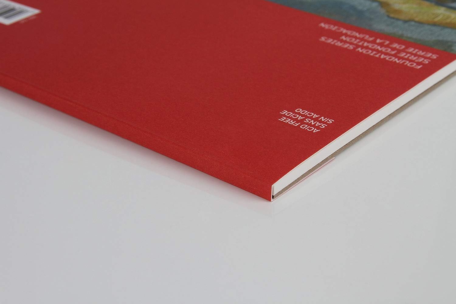 Canson 100510843 Foundation Series Canva-Paper Pad Primed for Oil or Acrylic Paints, Top Bound, 136 Pound, 16 x 20 Inch, 10 Sheets, 16" x 20", 0