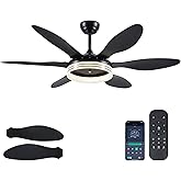 BayDay Ceiling Fans with Lights, Black Ceiling Fan with Light and Remote 3CCT Dimmable Light, 6 Blades, Reversible 6 Speeds Flush Mount Slope Ceiling Fan Modern Bedroom Living Room Indoor 51 inch