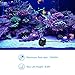 740GPH Ultra Quiet 2800L/H 55W Submersible Water Pump with 8.5ft High Lift for Fountains, Hydroponics, Ponds, Aquariums, Fish Tank