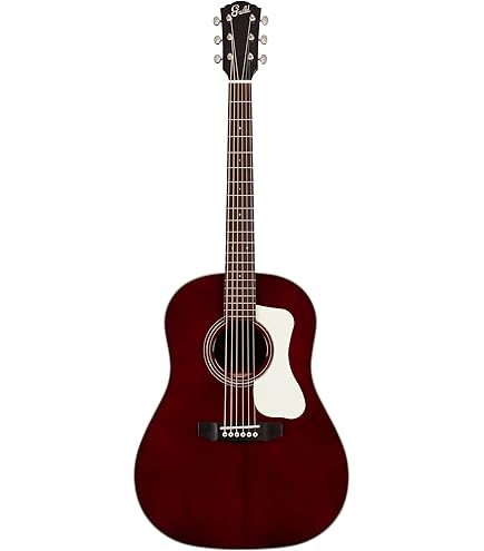 Amazon.com: Guild Guitars OM-120 Acoustic Guitar, Natural, All