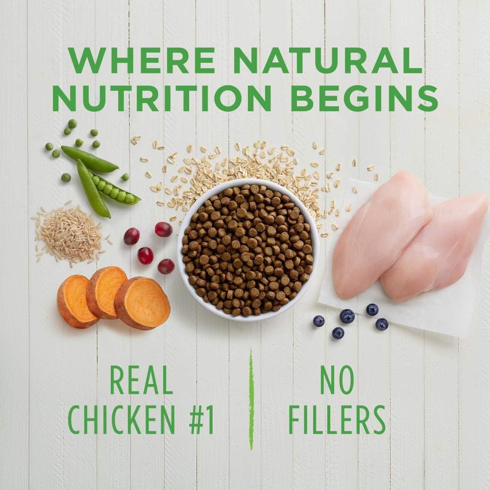 natural instinct dog food amazon