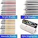Colore Art Paint Brushes With Nylon Wrapping Case - Complete PACK of 36 Professional Grade Paint Brush Set - 12 Acrylic, 12 Oil & 12 Watercolor Paintbrushes - Lightweight and Durable Painting Supplies