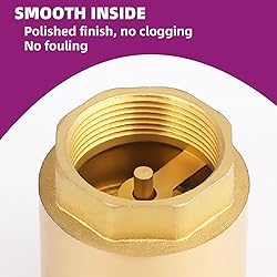 MYWERO 2-1/2" One Check Valve, Female Threaded