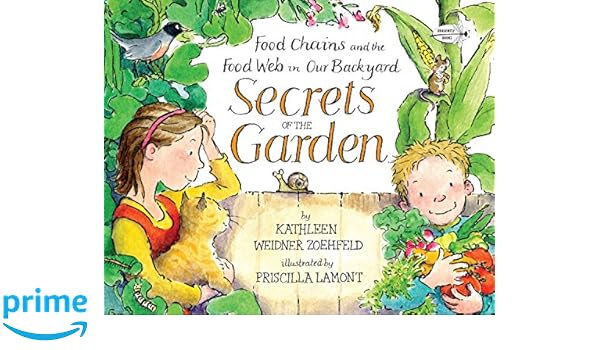 Secrets Of The Garden Food Chains And The Food Web In Our