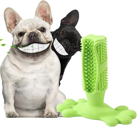 Amazon.com: REGO Cepillo de dientes para perro, juguete dental para mascotas, cepillo de dientes para masticar, cepillo seguro y duradero para mascotas (mediano): Mascotas