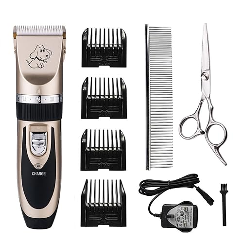 masterclip cordless clippers review