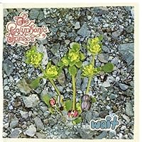 The Polyphonic Spree Ablum Cover
