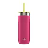 Contigo Streeterville Stainless Steel