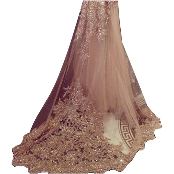 Amazon.com: Blush Champagne Simple Raw Edge Cathedral Length  display picture 1