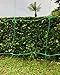Bluefire Direct Green Trellis Netting for Climbing Plants Commercial Grade Plastic Garden Trellis Net (6.5 ft x 100 ft)