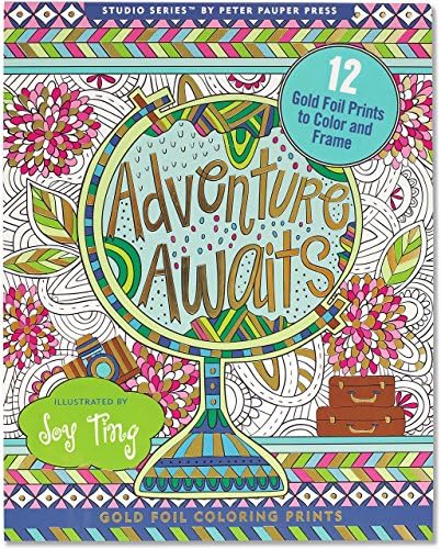Adventure Awaits! Foiled Coloring Prints (12 frame-worthy designs) (Studio) Paperback – January 25, 2017