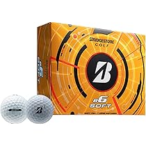 Bridgestone Golf 2023 e9 Long Drive Golf Balls White, Standard
