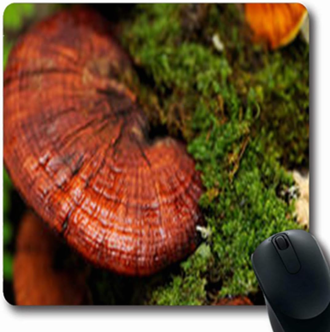Mousepads Lucidum Close Lingzhi Mushrooms Mushroom Food Drink Reishi Nature Ganoderma Oblong Gaming Mouse Pad Non-Slip Rubber Mat