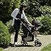 Evenflo Vive Sport Travel System, Marianna