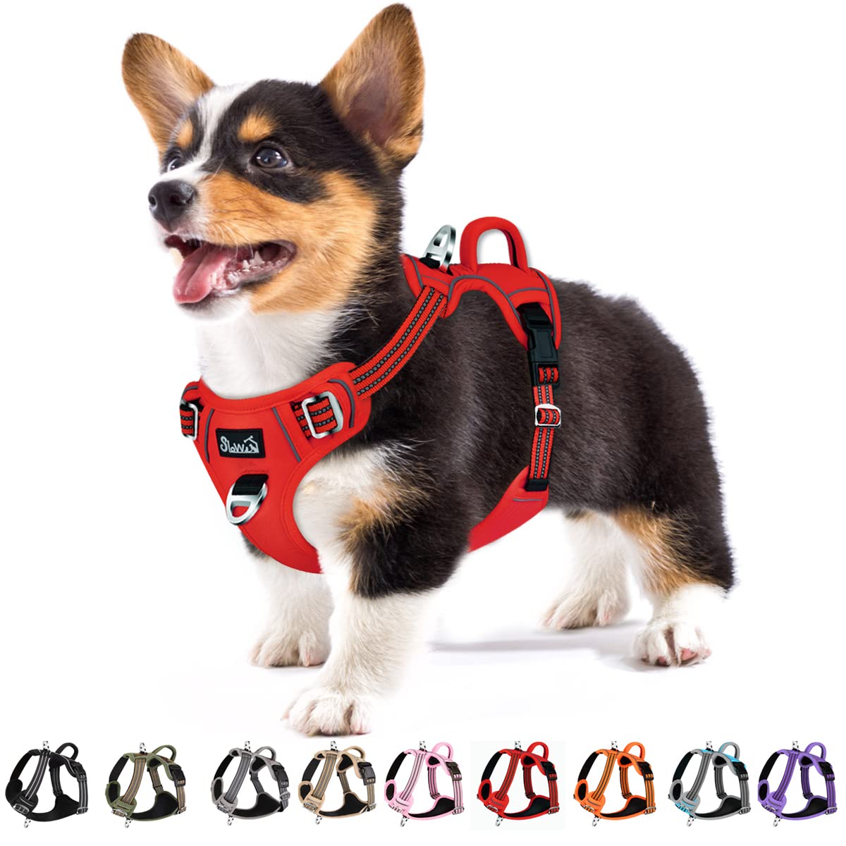 Eyein Small Dog Harness - Anti Pull, Adjustable, Heavy Duty Pet Vest with 2 Clips, Escape Proof, Reflective for Outdoor Training & Walking — image 1